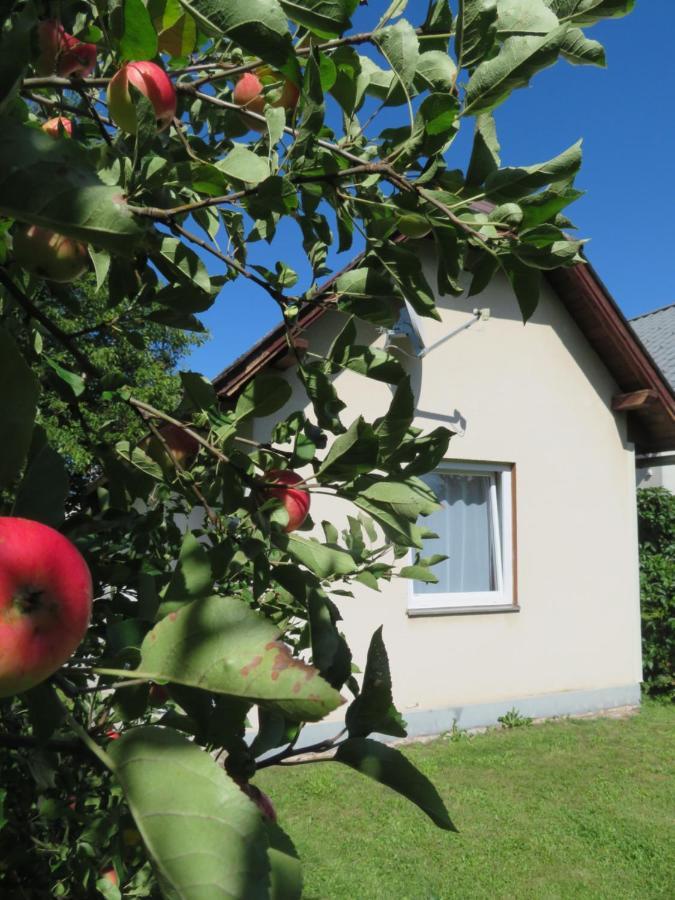 Bed and Breakfast Haus Irmi à Knittelfeld Extérieur photo